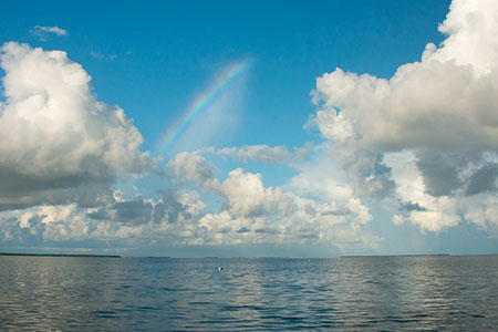 to nowhere, clouds, rain, thunder, storm, meterology, water, ocean, anomoly, weather, no clouds, suspended, blue sky, florida, keys, peculiar